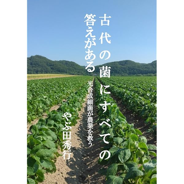 根の活力と根圏微生物